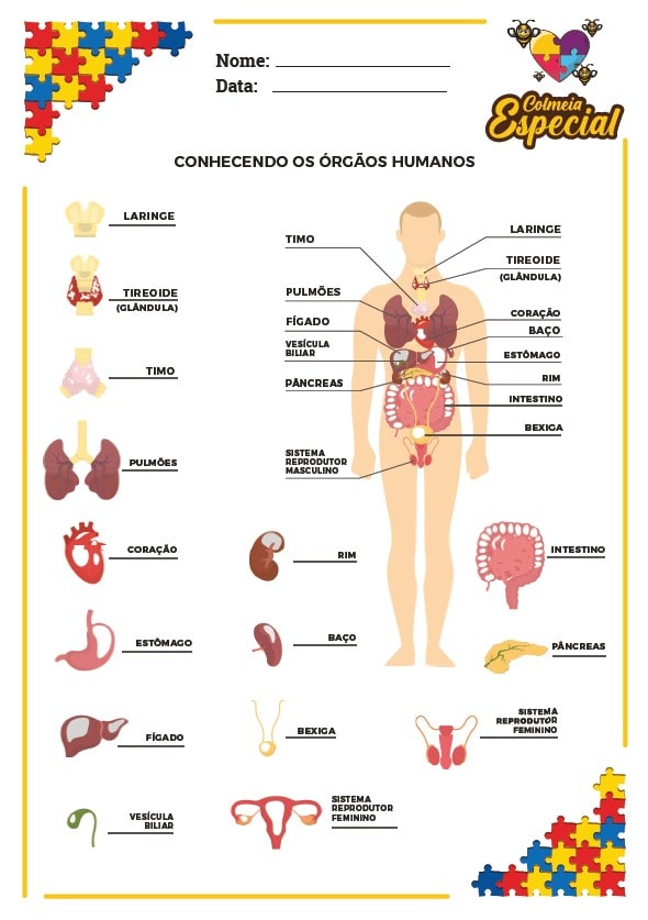 colmeia-especial-educacao-infantil-31-min